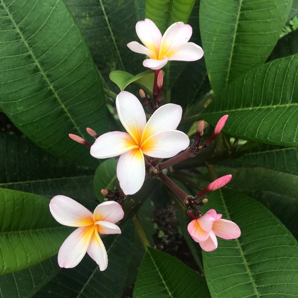 Meet your Posher, Kimberley - Picture 13 of 16